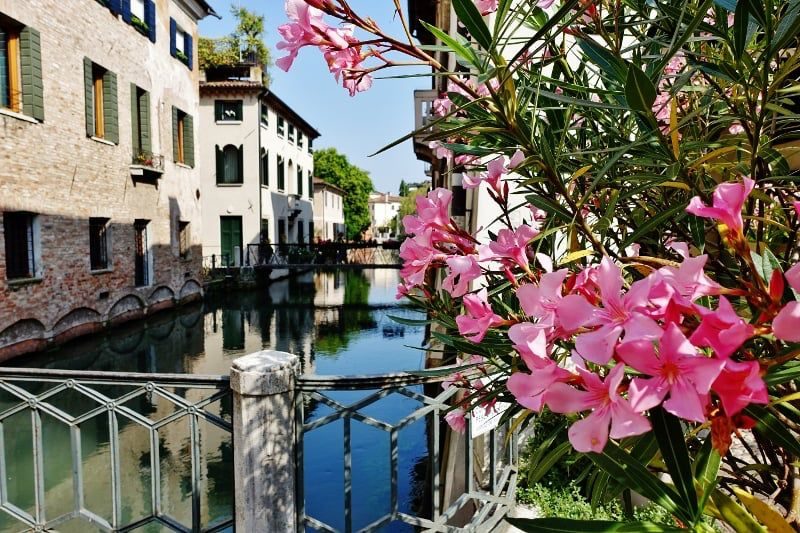 I Buranelli
